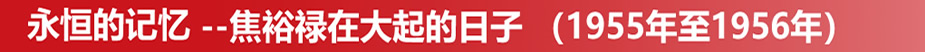 开奖历史查询表
